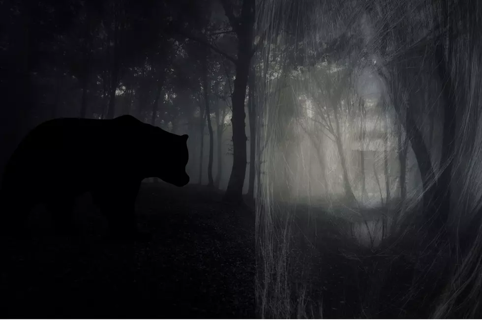 Echoes in the Beartooths: A Haunting Tale